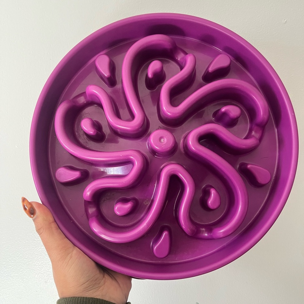 🧡 2/$15 🧡 Slow Feeding Bowl